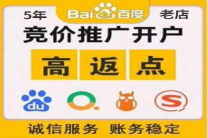 真实案例解析：SEM代运营托管公司的优势与挑战